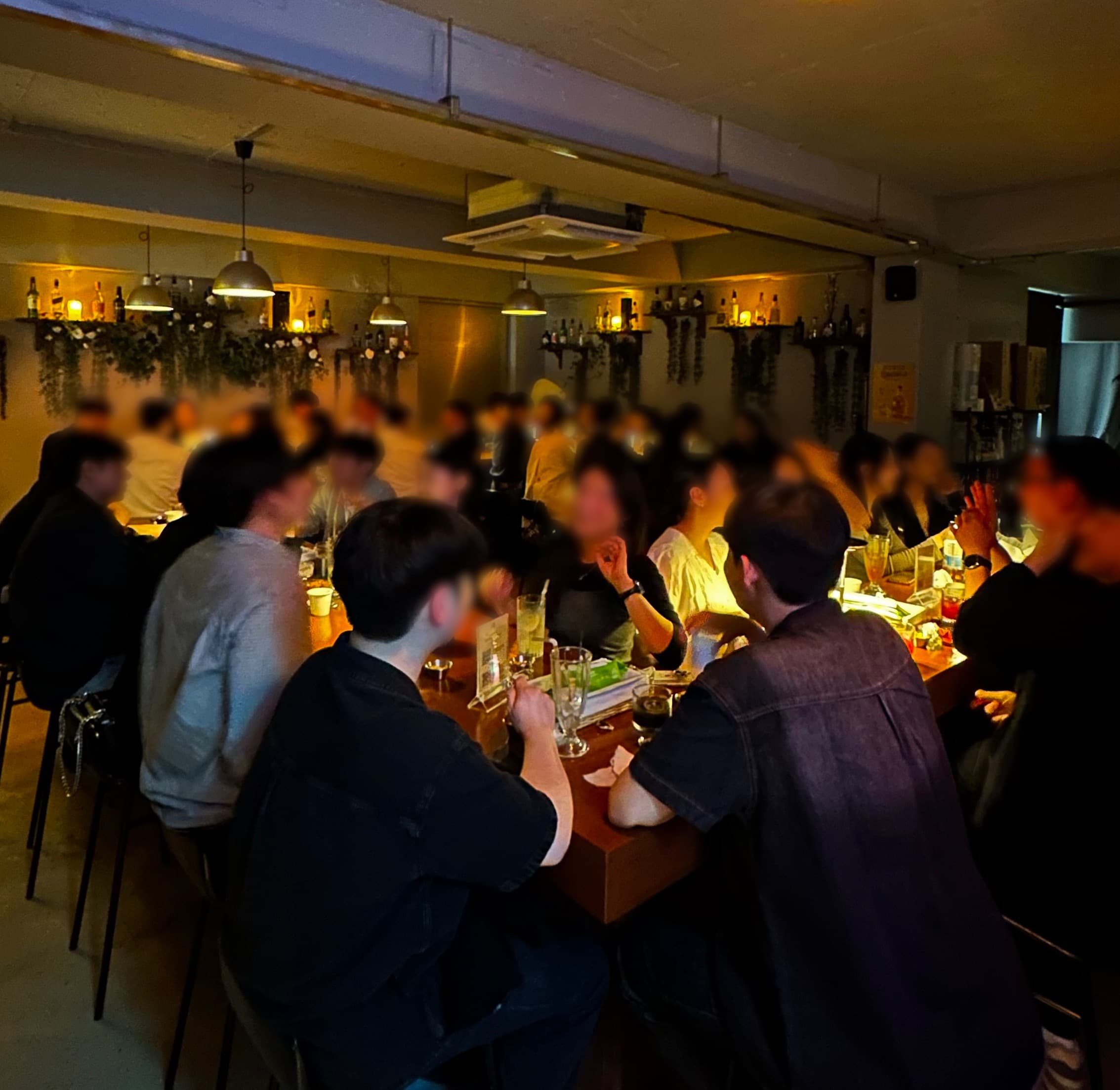 제주아홉 혼술바 강남점 사진 1